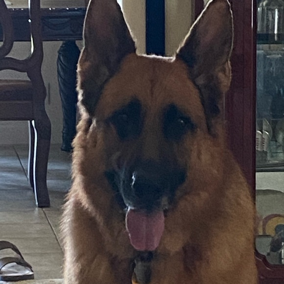 Meet your Posher, Yusoon - Picture 2 of 3